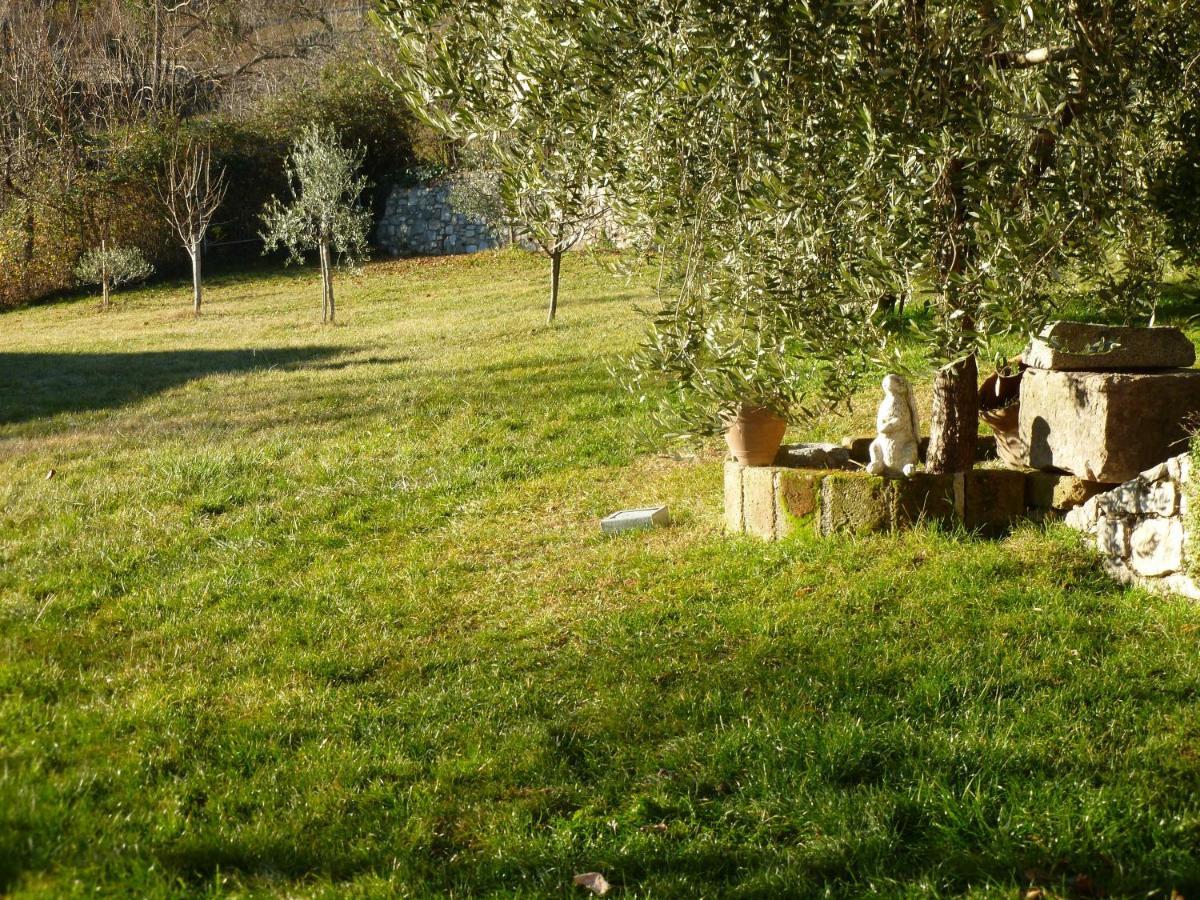 Casa Teodoro - Gelsomino, Ulivi & Orchidea Apartment *
