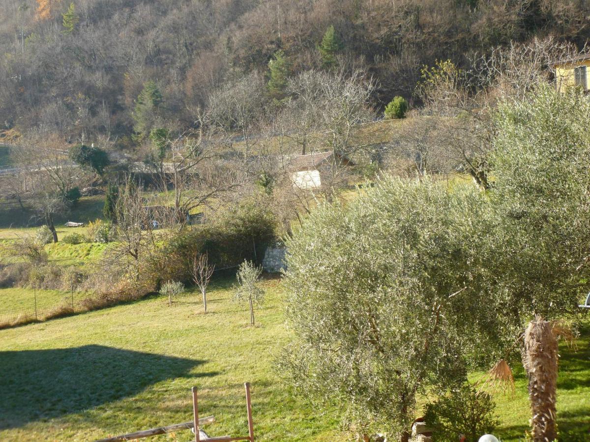 Casa Teodoro - Gelsomino, Ulivi & Orchidea Apartment